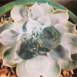 Handmade 5/8 16mm Moss Agate double flare stone plugs